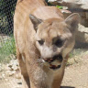 Meet your Posher, Lily